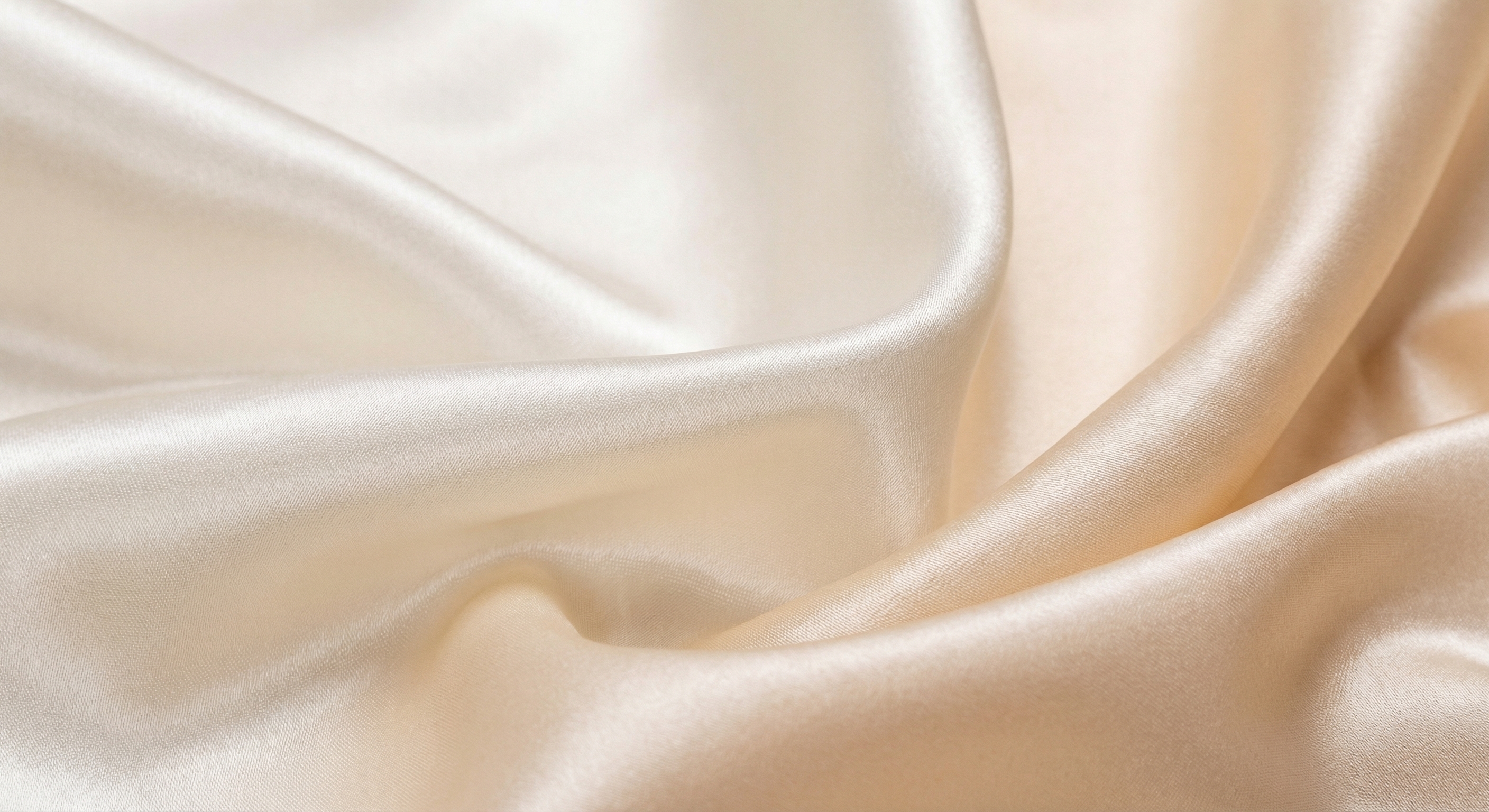 Collections spéciales